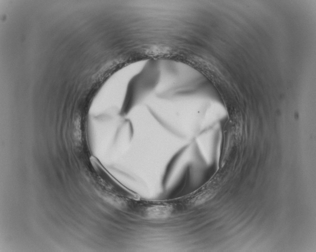 X0000062930700200602031947