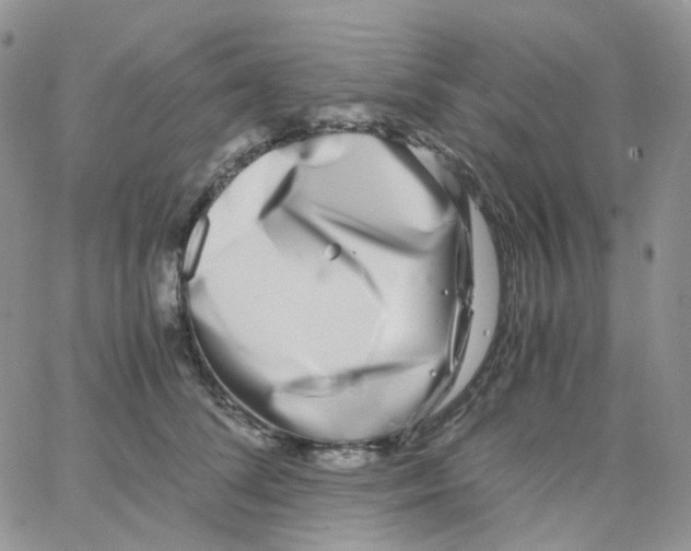 X0000062930708200602031947