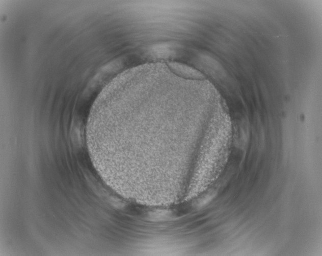 X0000062930718200602031947