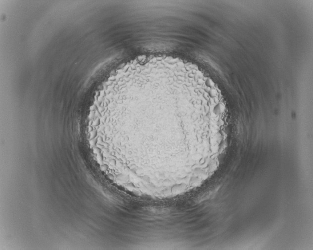 X0000062930733200602031946