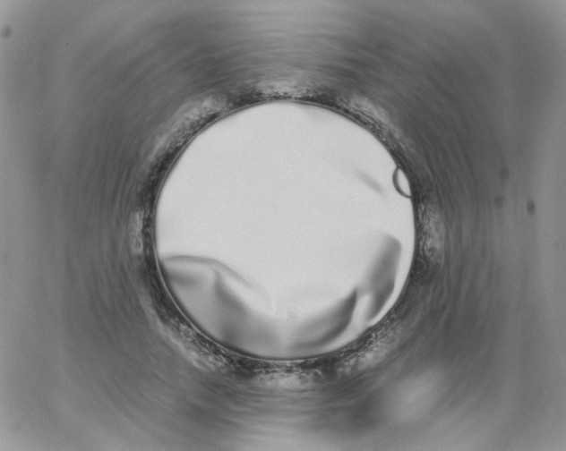X0000062930738200602031946