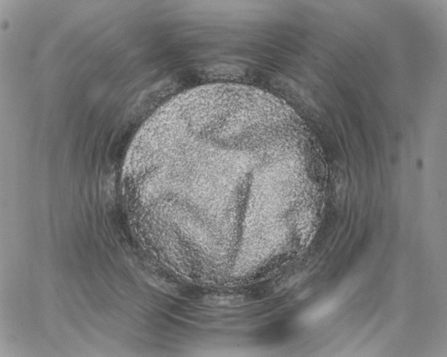 X0000062930745200602031946