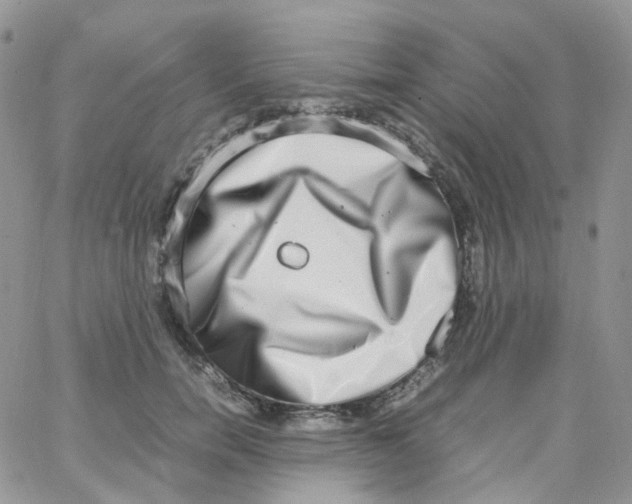 X0000062930750200602031946
