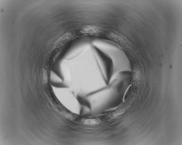 X0000062930751200602031946