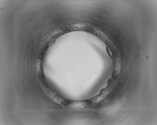 X0000062930758200602031946