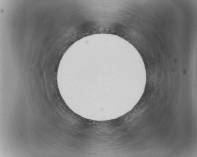 X0000062930769200602031946