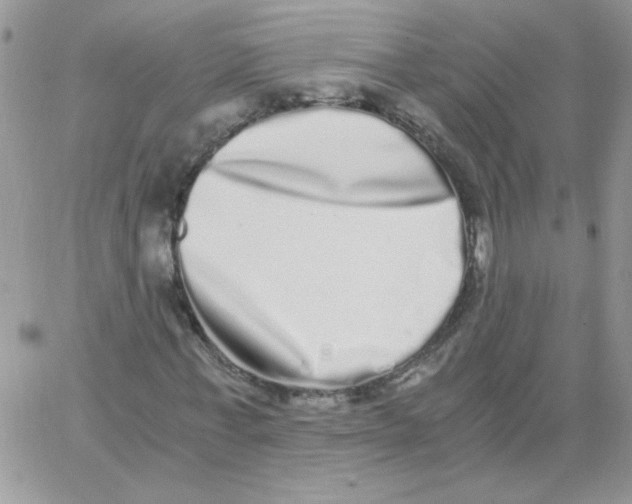 X0000062930771200602031946