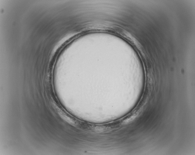 X0000062930779200602031946