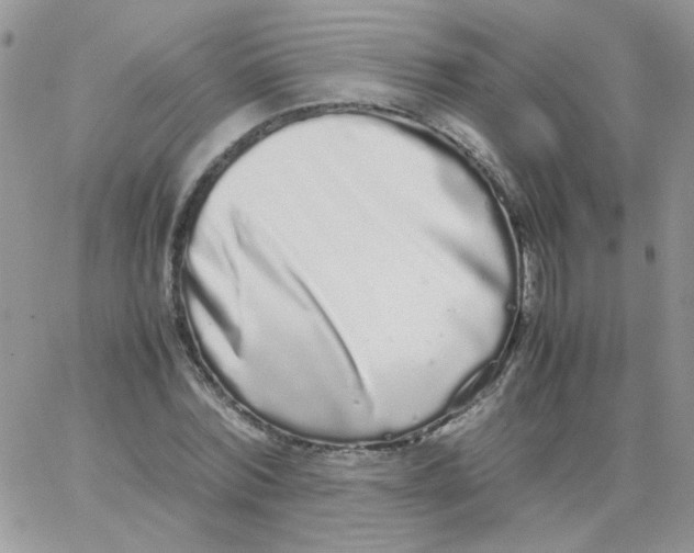 X0000062930780200602031946