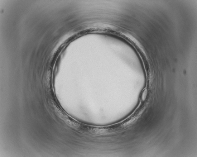 X0000062930783200602031946