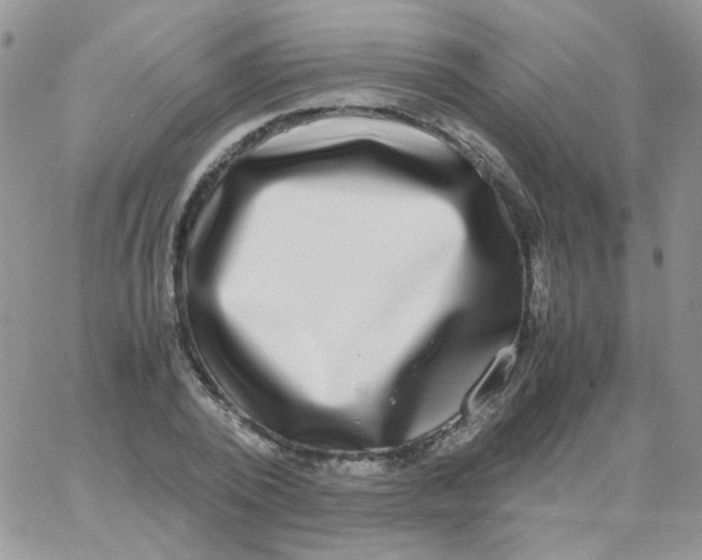 X0000062930784200602031946