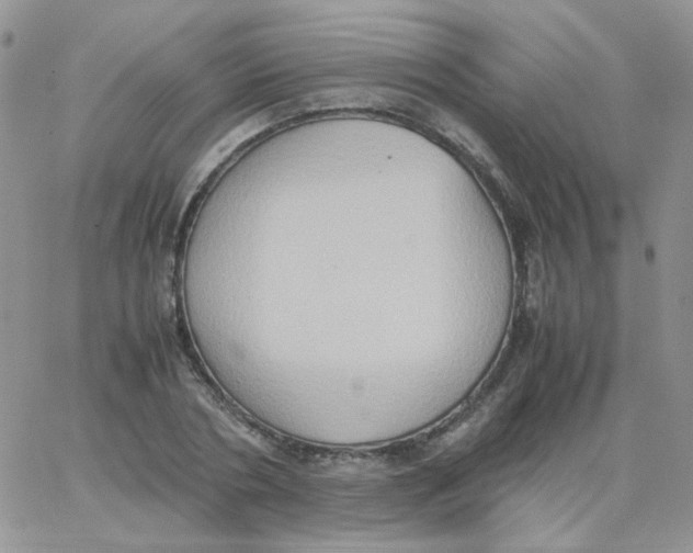 X0000062930786200602031945