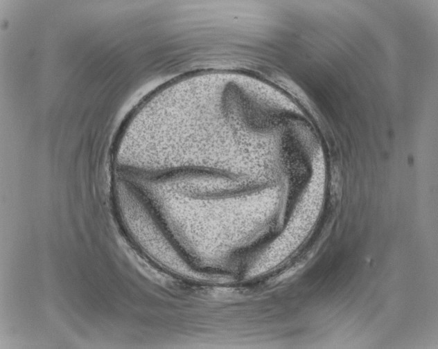 X0000062930787200602031945