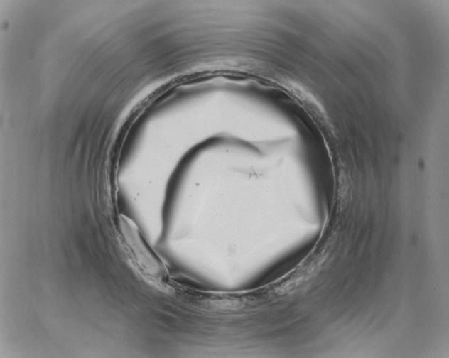 X0000062930792200602031945