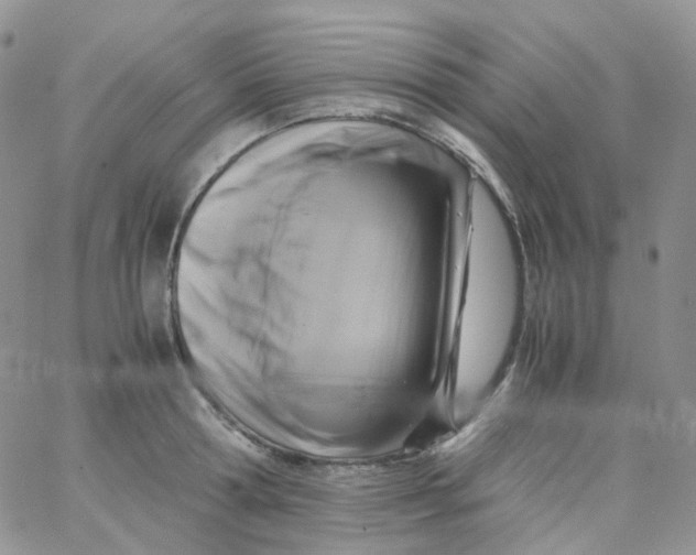 X0000062930802200602031945