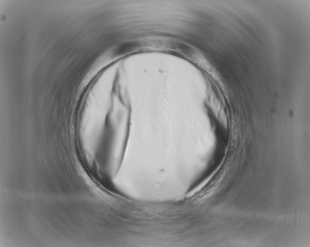 X0000062930803200602031945