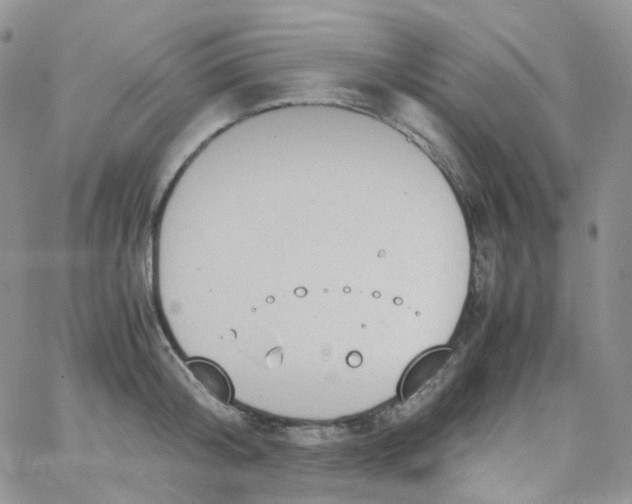 X0000062930804200602031945