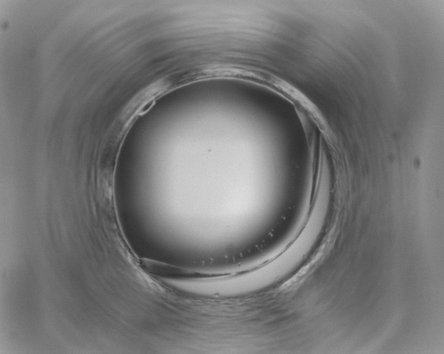 X0000062930809200602031945