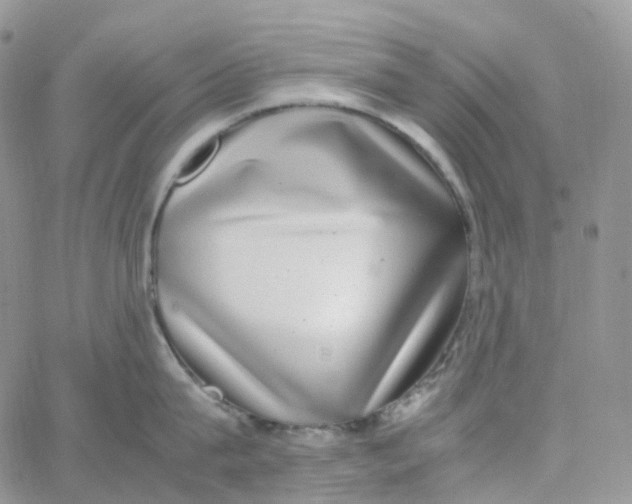 X0000062930815200602031945