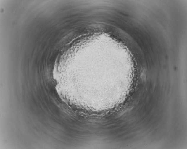 X0000062930819200602031944