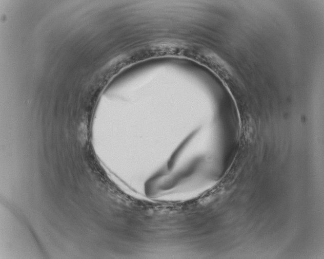 X0000062930821200602031944