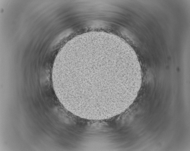 X0000062930824200602031944