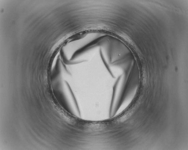 X0000062930834200602031945