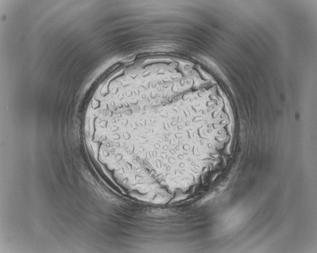 X0000062930835200602031945