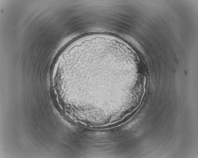 X0000062930839200602031945