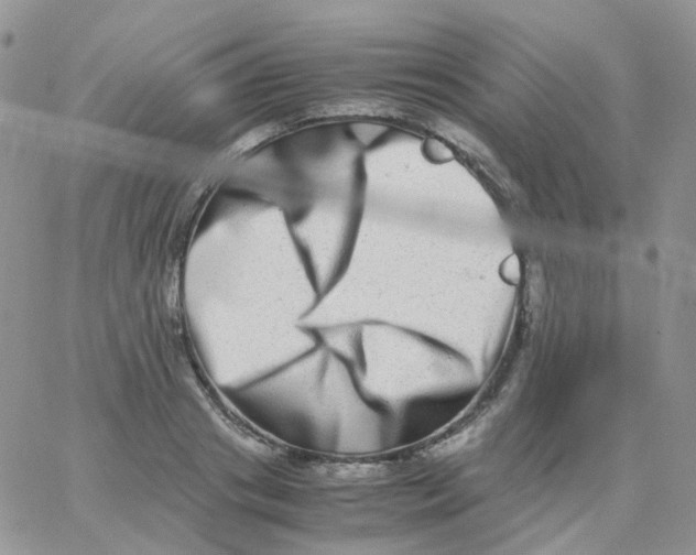 X0000062930841200602031945