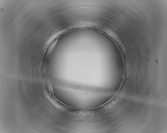 X0000062930842200602031945