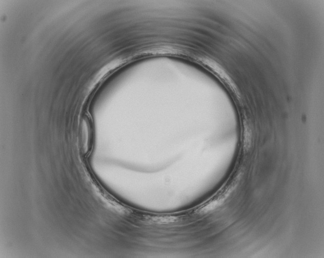 X0000062930845200602031945