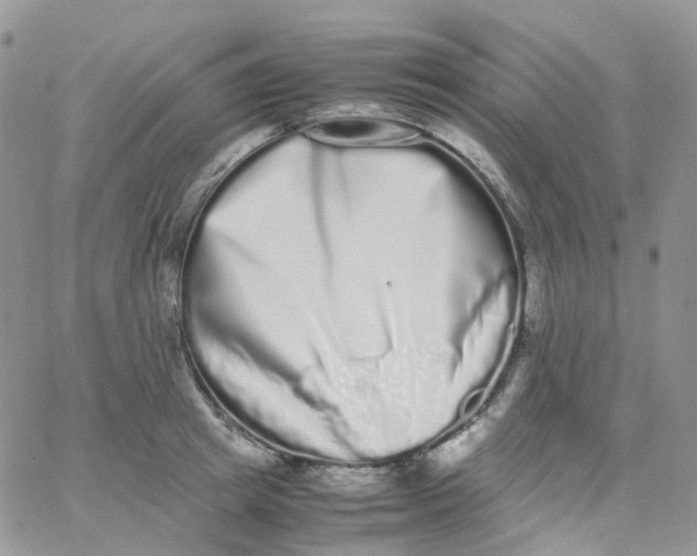 X0000062930849200602031945