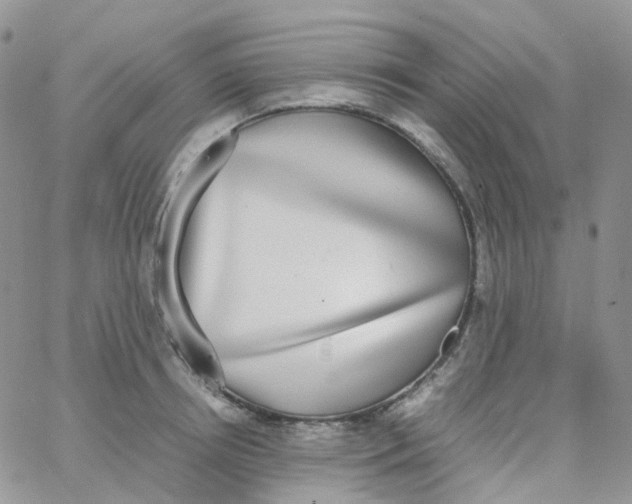 X0000062930850200602031945