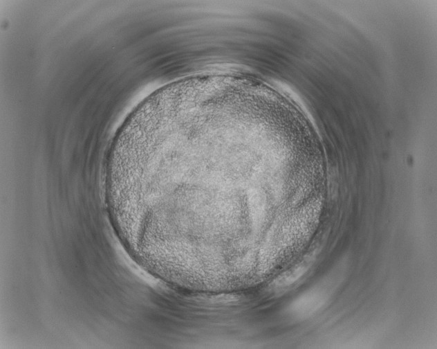 X0000062930851200602031945