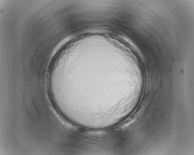 X0000062930853200602031945