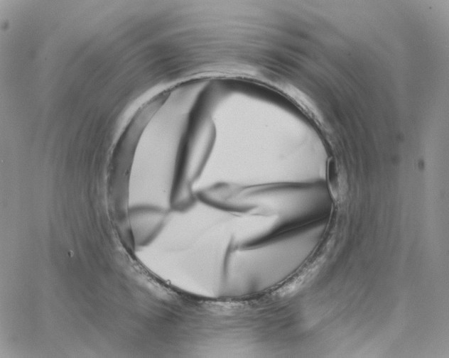 X0000062930854200602031945