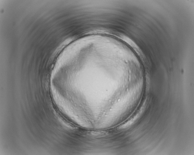 X0000062930857200602031945