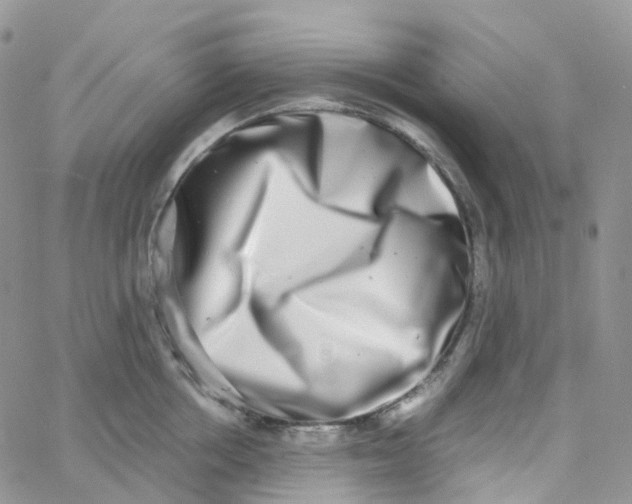 X0000062930858200602031945