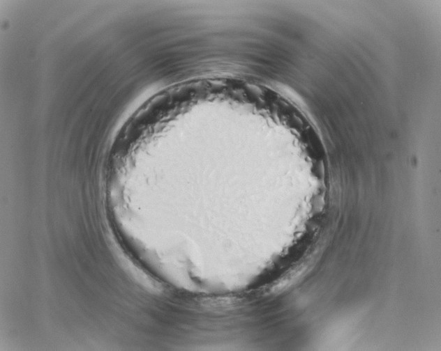 X0000062930859200602031945