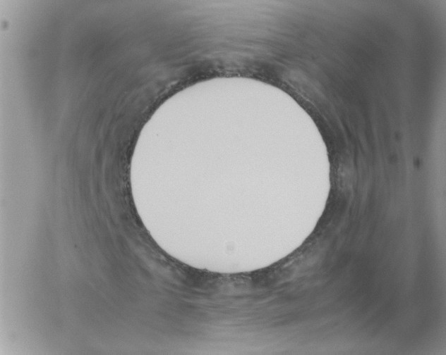X0000062930865200602031944