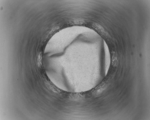 X0000062930866200602031944