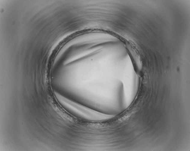 X0000062930880200602031944
