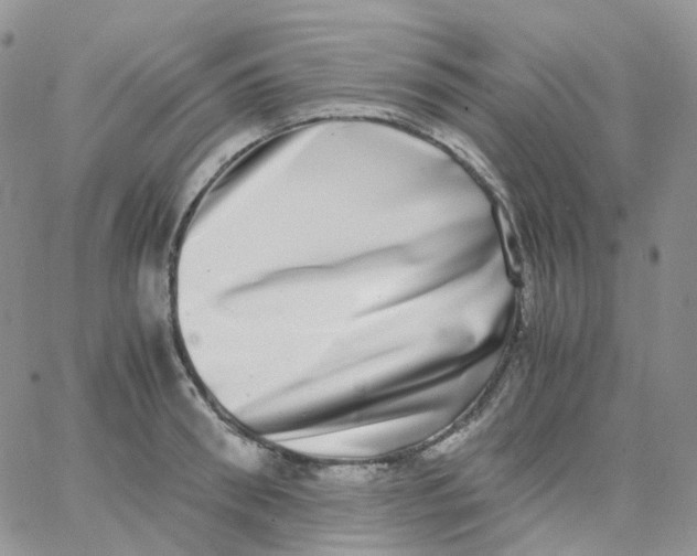 X0000062930898200602031944