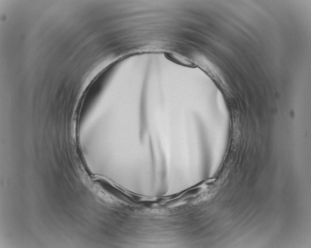 X0000062930900200602031944