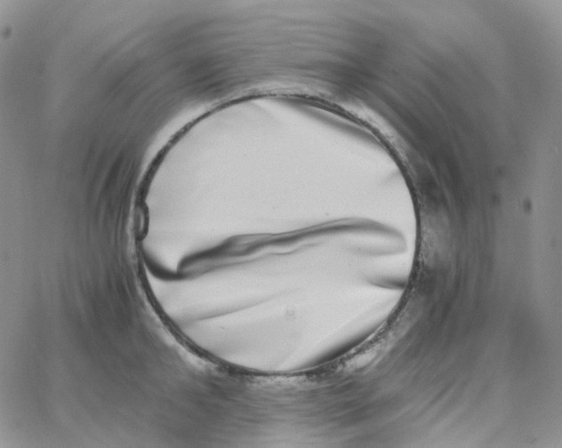 X0000062930902200602031944