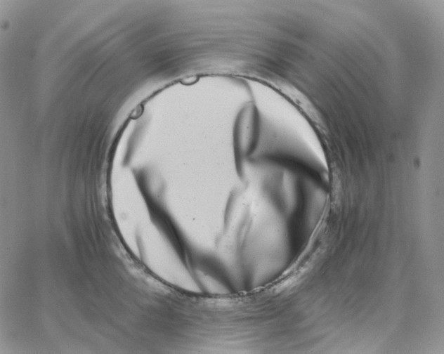 X0000062930904200602031944