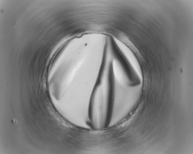 X0000062930908200602031944