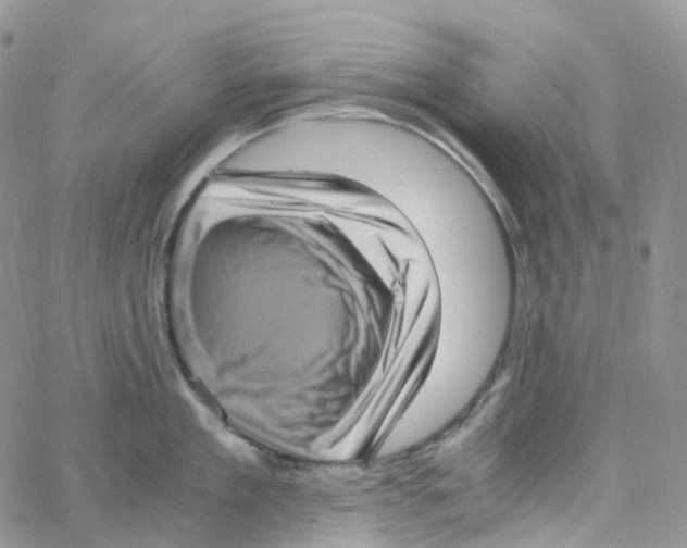 X0000062930909200602031944
