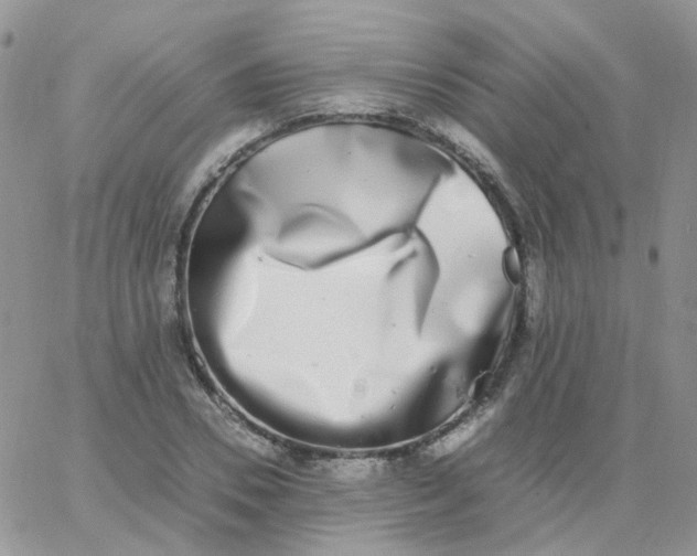 X0000062930930200602031943